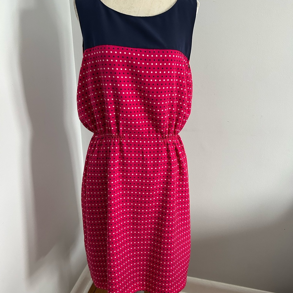 Tommy Hilfiger Blue and Pink Sleeveless Sundress